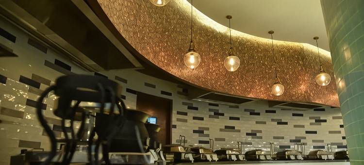 瓦多达拉艾佛酒店-萨亚吉(Effotel by Sayaji Vadodara)图片