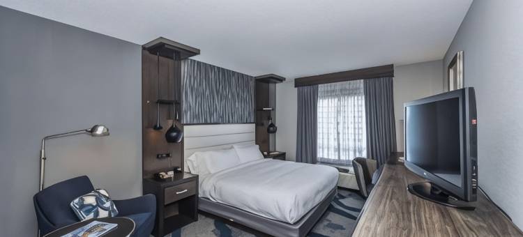 北查尔斯顿会议中心希尔顿逸林酒店(DoubleTree by Hilton North Charleston Convention Center)图片
