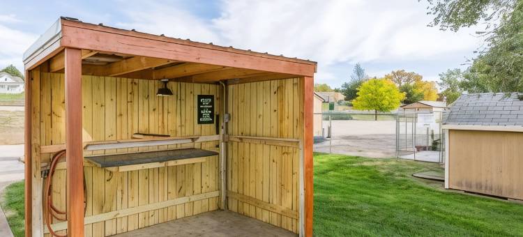 皮尔温德姆戴斯酒店(Days Inn by Wyndham Pierre)图片