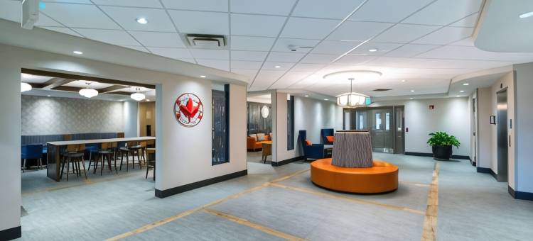 舒适酒店(Comfort Inn)图片