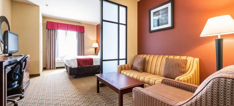 沃思湖舒适套房酒店(Comfort Suites Lake Worth)图片