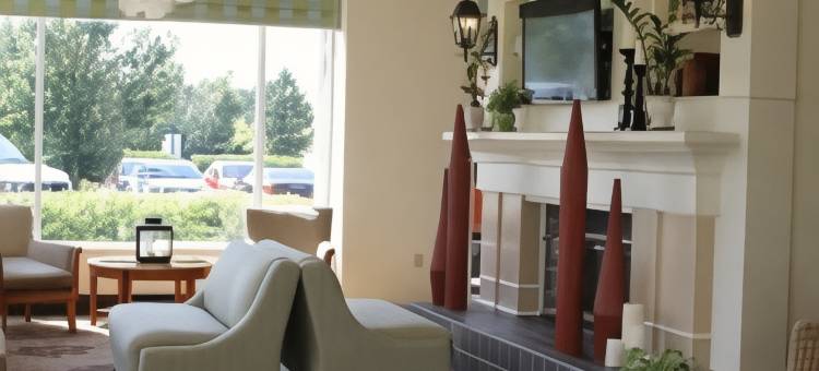 艾迪生希尔顿花园酒店(Hilton Garden Inn Addison)图片