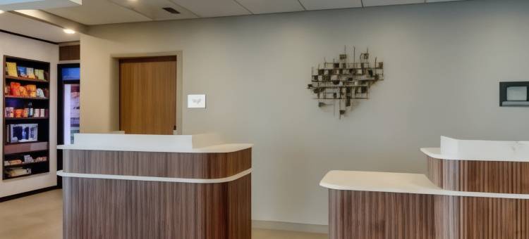 列克星敦南/汉堡广场万怡酒店(Courtyard Lexington South/Hamburg Place)图片