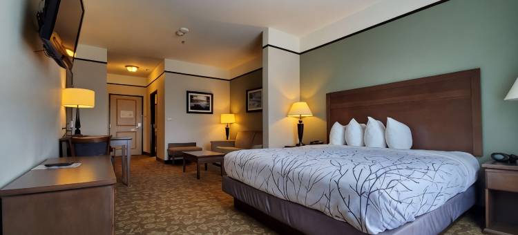 艾莫里福克湖贝斯特韦斯特优质套房酒店(Best Western Plus Emory at Lake Fork Inn  Suites)图片