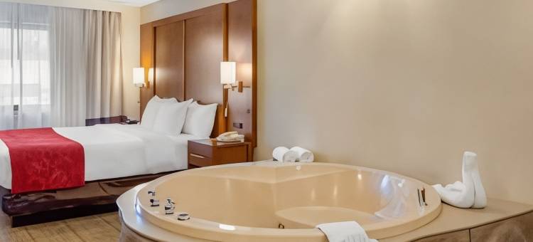 橡树溪阳台近橡树溪中心舒适全套房酒店(Comfort Suites Oakbrook Terrace Near Oakbrook Center)图片