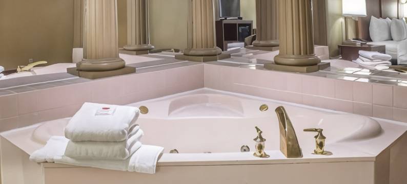 锡达拉皮兹北科林斯路舒适套房酒店(Comfort Inn & Suites Cedar Rapids North - Collins Road)图片