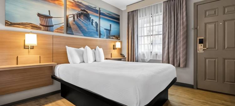特洛伊温德姆戴斯酒店(Days Inn by Wyndham Troy)图片
