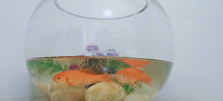 高铁格林快捷公寓(武汉火车站店)图片