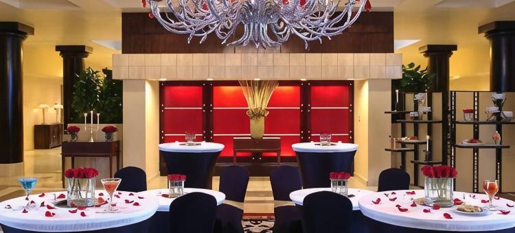 纽瓦克自由国际机场万豪酒店(Newark Liberty International Airport Marriott)图片