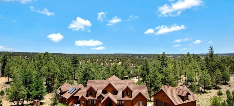 可住20人以上•7卧室 4.5英亩私人庄园 森林山庄 带山景！(Sleeps 20+ • 7-Bed Forest Lodge 4.5-Acre Private Estate With Mountain Views!)图片