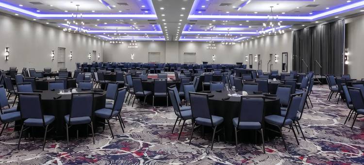 希尔顿花园旅馆-泰克瑟马活动中心丹尼森谢尔曼(Hilton Garden Inn Denison/Sherman/at Texoma Event Center)图片