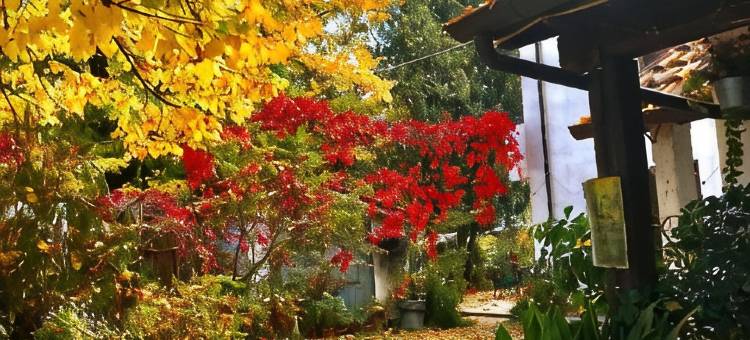 斯特拉波拉住宿加早餐旅馆(Stella Polare B&B)图片