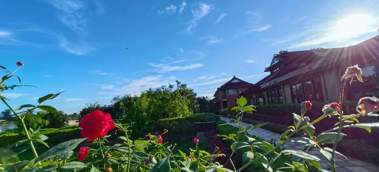 顺化河畔精品SPA度假酒店(Hue Riverside Boutique Resort & Spa)图片