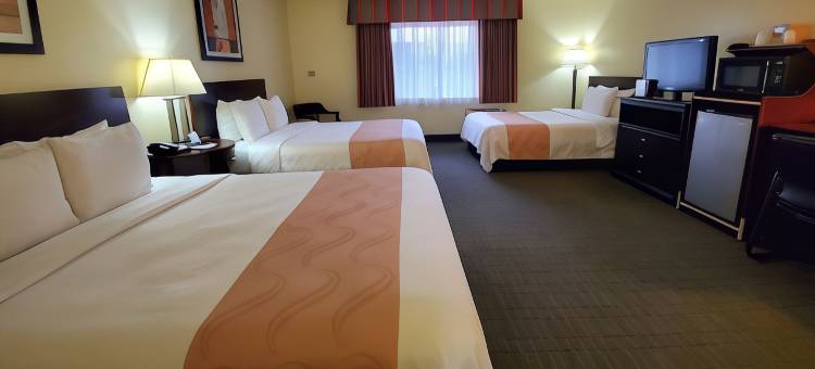 阿纳海姆公园品质套房酒店(Quality Inn & Suites Anaheim at the Park)图片