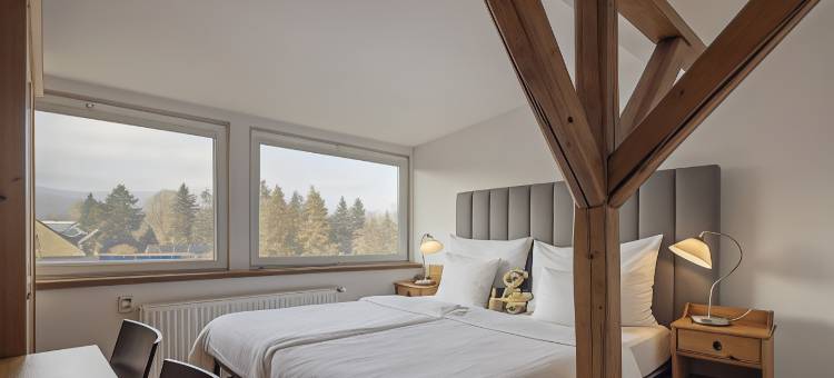 皮特洛恩健康旅游酒店(Pytloun Wellness Travel Hotel)图片