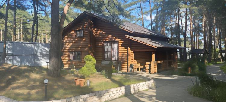 Hotel Sosnovy Bor Hotel图片