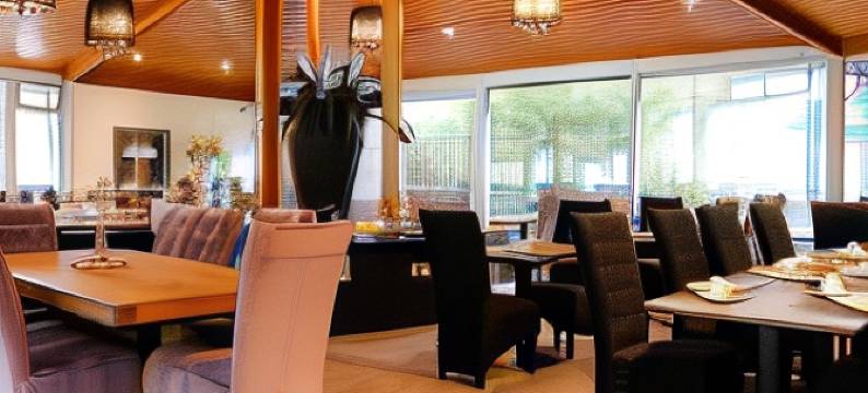 刘易斯公园酒店(Hotel Luisenpark)图片