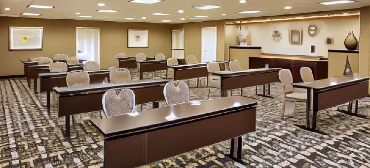 Homewood Suites by Hilton-蒙斯特(Homewood Suites by Hilton Munster)图片