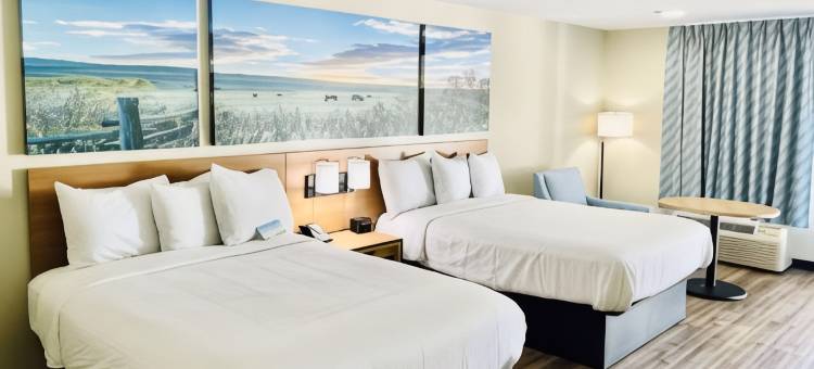 伯利森堡沃斯戴斯酒店(Days Inn by Wyndham Burleson Ft. Worth)图片