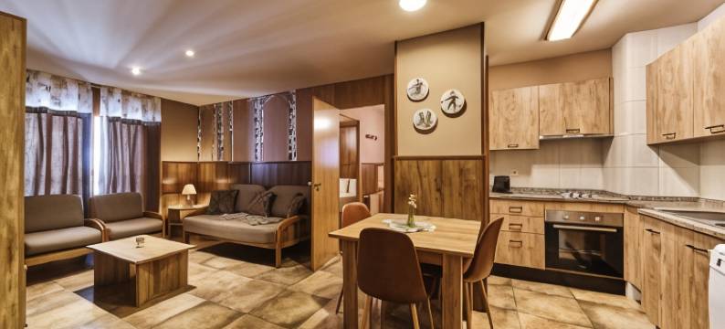 拉尼优公寓(Apartaments la Neu-Mountain Lodges & Restaurant)图片