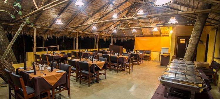 椰林度假酒店(Cocohut Resort)图片