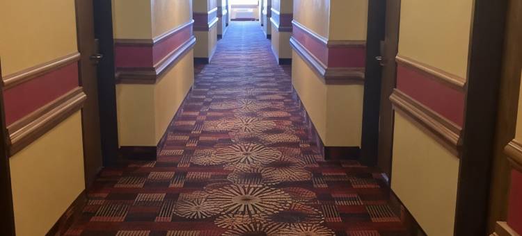 马丁斯维尔温德姆速8酒店(Super 8 by Wyndham Martinsville)图片