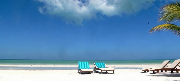 埃尔科拉松精品酒店 - 限成人，含海滩俱乐部通行证(El Corazón Boutique Hotel - Adults Only with Beach Club's Pass Included)图片