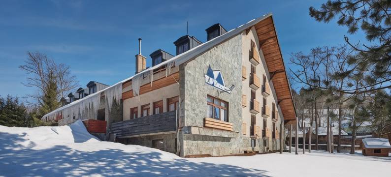 贝内茨科专业家庭酒店(ProFamily Hotel Top Benecko)图片