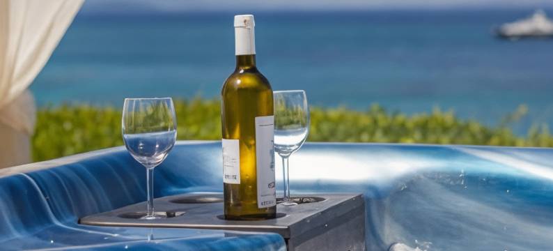 棕榈与温泉科孚别墅静居处(Palms and Spas Villas Retreat)图片