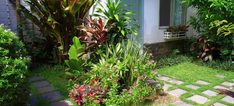 阳光平房酒店(Sunshine Bungalow)图片