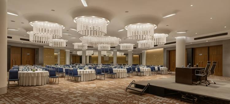 阿巴撒酒店(Avasa Hotel)图片