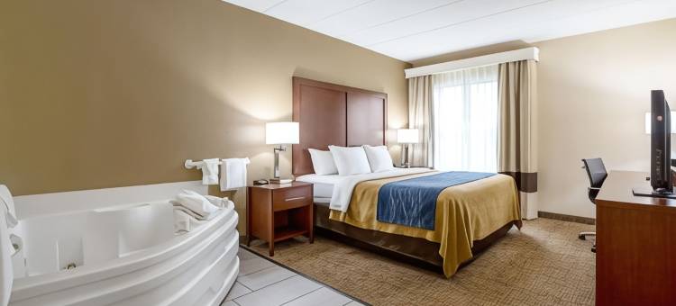 印地安纳波利斯北舒适酒店-卡梅尔(Comfort Inn Indianapolis North - Carmel)图片