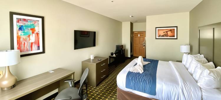 奥瓦索-图尔萨舒适酒店(Comfort Inn Owasso – Tulsa)图片