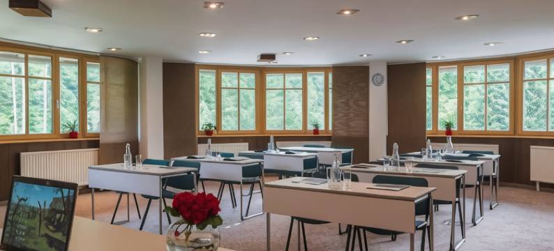 力诺酒店(Ribno Alpine Hotel)图片