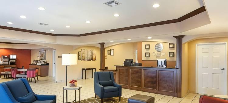 马里罗-新奥尔良西舒适酒店(Comfort Inn Marrero-New Orleans West)图片