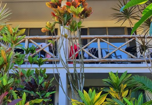 Vaea Hotel Samoa Hotel Overview