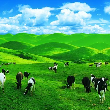 南山牧场+黄桑国家级自然保护区+曲幽谷+上堡古国3日2晚跟团游