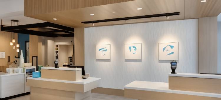 佛罗里达巴拿马城机场希尔顿花园酒店(Hilton Garden Inn Panama City Airport)图片