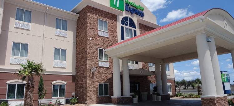 凯尼迪智选假日酒店(Holiday Inn Express Kenedy by IHG)图片