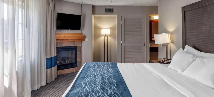 舒适酒店(Comfort Inn)图片