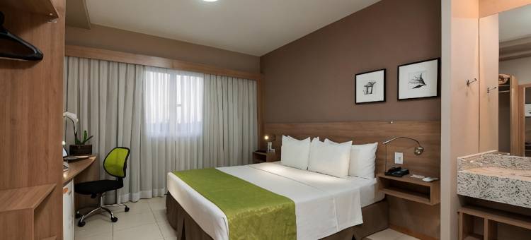 塞尔陶齐尼奥舒适酒店(Comfort Hotel Sertãozinho)图片