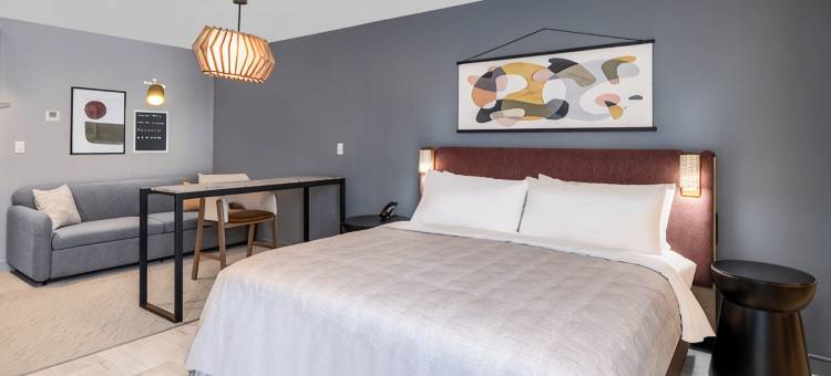 迈阿密布里克尔阿特维尔套房酒店(Atwell Suites MIAMI BRICKELL by IHG)图片
