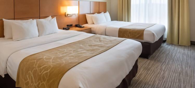 舒适套房酒店-伯锡尔城申里夫波特东(Comfort Suites Bossier City - Shreveport East)图片