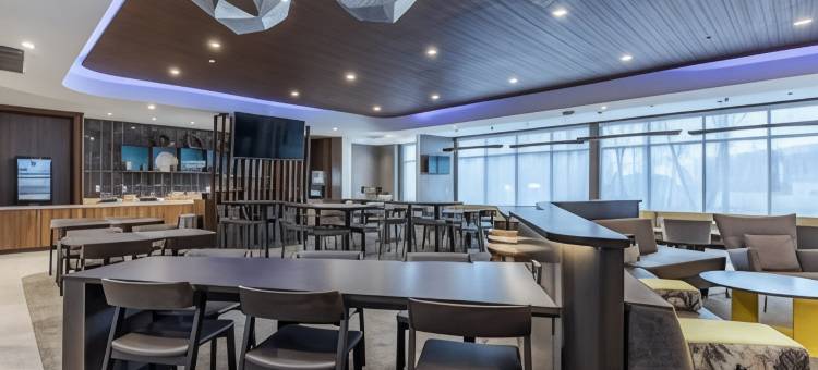 底特律斯特林海茨万豪SpringHill酒店(SpringHill Suites by Marriott Detroit Sterling Heights)图片