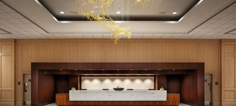 斯科特斯戴尔腓尼基酒店-豪华精选酒店成员(The Phoenician, a Luxury Collection Resort, Scottsdale)图片