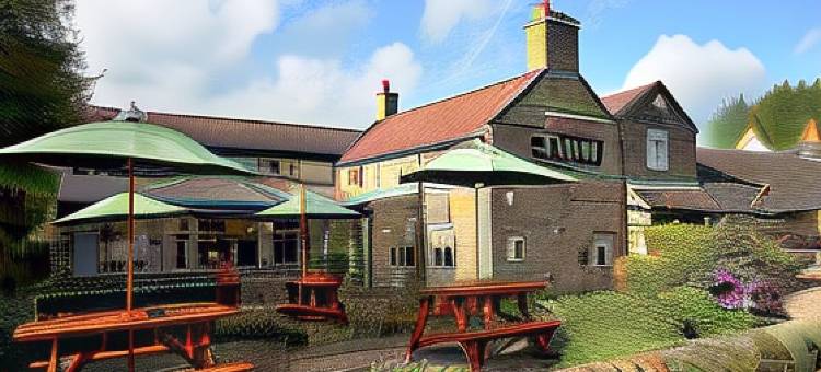白马伍里摩尔景观酒店(The View at the White Horse Woolley Moor)图片