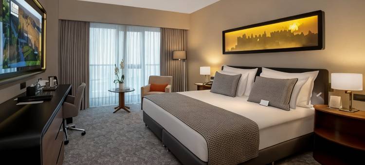 迪亚巴克尔瑞享酒店(Mövenpick Diyarbakir)图片