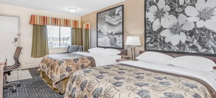 斯泰特勒速8酒店(Super 8 by Wyndham Stettler)图片