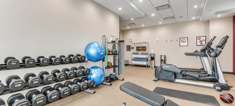 达拉斯医疗区爱菲尔德希尔顿酒店(Home2 Suites Dallas Medical)图片