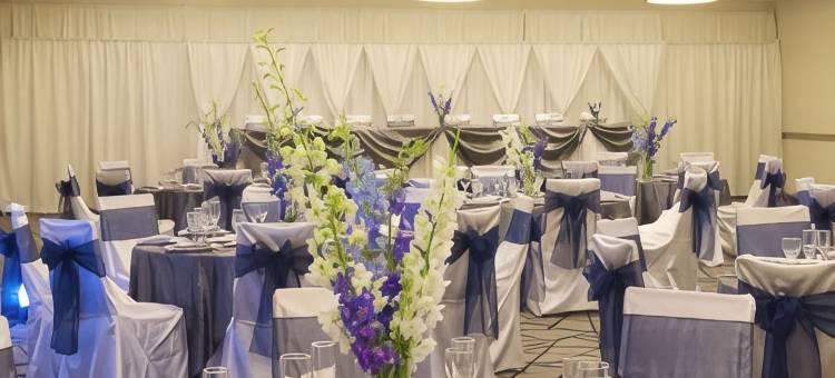 底特律利沃尼诺维希尔顿安泊酒店(Embassy Suites by Hilton Detroit Livonia Novi)图片